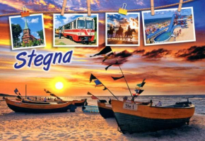 Stegna u Moni, Stegna